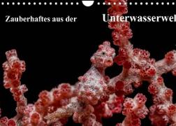 Zauberhaftes aus der Unterwasserwelt (Wandkalender 2022 DIN A4 quer)