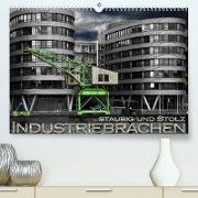 Industriebrachen staubig und stolz (Premium, hochwertiger DIN A2 Wandkalender 2022, Kunstdruck in Hochglanz)