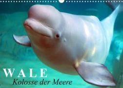 Wale - Kolosse der Meere (Wandkalender 2022 DIN A3 quer)