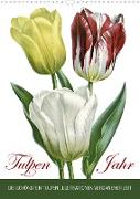Tulpen - Jahr (Wandkalender 2022 DIN A3 hoch)