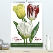Tulpen - Jahr (Premium, hochwertiger DIN A2 Wandkalender 2022, Kunstdruck in Hochglanz)