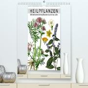 Heilpflanzen (Premium, hochwertiger DIN A2 Wandkalender 2022, Kunstdruck in Hochglanz)
