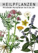 Heilpflanzen (Wandkalender 2022 DIN A4 hoch)