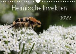 Heimische Insekten 2022 (Wandkalender 2022 DIN A4 quer)