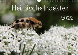 Heimische Insekten 2022 (Wandkalender 2022 DIN A3 quer)