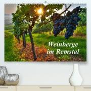 Weinberge im Remstal (Premium, hochwertiger DIN A2 Wandkalender 2022, Kunstdruck in Hochglanz)