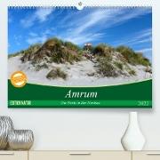 Amrum, die Perle in der Nordsee (Premium, hochwertiger DIN A2 Wandkalender 2022, Kunstdruck in Hochglanz)