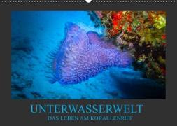 Unterwasserwelt - Das Leben am Korallenriff (Wandkalender 2022 DIN A2 quer)