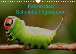 Faszination Schmetterlingsraupen (Wandkalender 2022 DIN A4 quer)