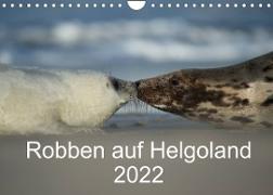 Robben auf Helgoland 2022CH-Version (Wandkalender 2022 DIN A4 quer)