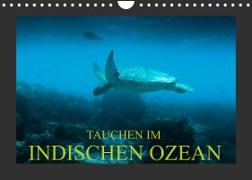 Tauchen im Indischen Ozean (Wandkalender 2022 DIN A4 quer)