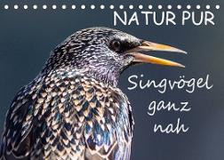 NATUR PUR - Singvögel ganz nah (Tischkalender 2022 DIN A5 quer)