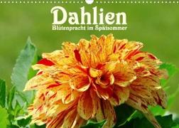 Dahlien - Blütenpracht im Spätsommer (Wandkalender 2022 DIN A3 quer)