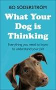 What Your Dog Is Thinking