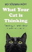 What Your Cat Is Thinking