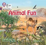 Animal Fun