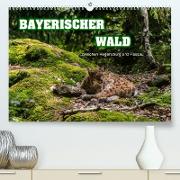 Bayerischer Wald (Premium, hochwertiger DIN A2 Wandkalender 2022, Kunstdruck in Hochglanz)