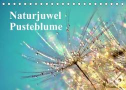 Naturjuwel Pusteblume (Tischkalender 2022 DIN A5 quer)