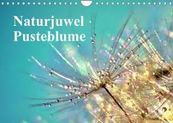 Naturjuwel Pusteblume (Wandkalender 2022 DIN A4 quer)