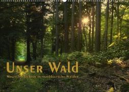 Unser Wald - Magische Sichten in norddeutsche Wälder / Geburtstagskalender (Wandkalender 2022 DIN A2 quer)