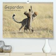 Geparden - Afrikas grazile Katzen (Premium, hochwertiger DIN A2 Wandkalender 2022, Kunstdruck in Hochglanz)