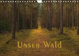 Unser Wald - Magische Sichten in norddeutsche Wälder (Wandkalender 2022 DIN A4 quer)