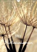 Pusteblumentraum - Dreams of Dandelion (Wandkalender 2022 DIN A4 hoch)