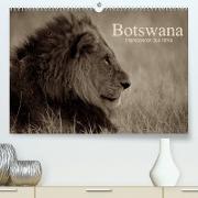 Botswana - Impressionen aus Afrika (Premium, hochwertiger DIN A2 Wandkalender 2022, Kunstdruck in Hochglanz)