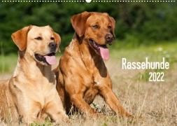 Rassehunde (Wandkalender 2022 DIN A2 quer)