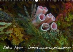 Rotes Meer - Unterwasserimpressionen (Wandkalender 2022 DIN A3 quer)