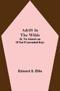 Adrift in the Wilds, Or, The Adventures of Two Shipwrecked Boys