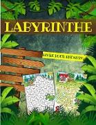 Livre De Labyrinthe Pour Enfants