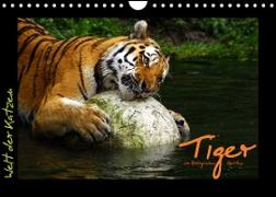 Welt der Katzen - Tiger (Wandkalender 2022 DIN A4 quer)