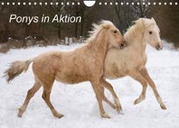 Ponys in Aktion (Wandkalender 2022 DIN A4 quer)