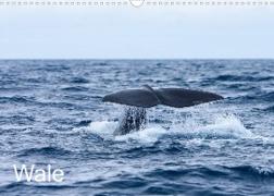 Wale (Wandkalender 2022 DIN A3 quer)