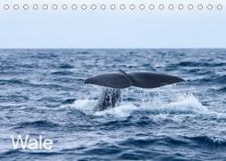Wale (Tischkalender 2022 DIN A5 quer)