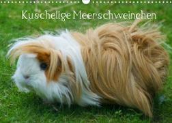 Kuschelige Meerschweinchen (Wandkalender 2022 DIN A3 quer)