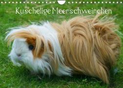 Kuschelige Meerschweinchen (Wandkalender 2022 DIN A4 quer)