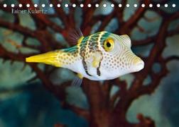 Fischzauber - Wundervolle Aquarienfische (Tischkalender 2022 DIN A5 quer)