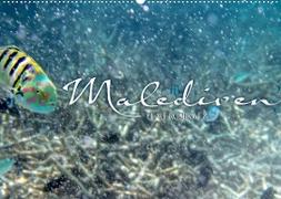Unterwasserwelt der Malediven IV (Wandkalender 2022 DIN A2 quer)