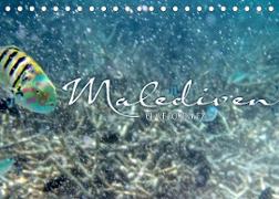 Unterwasserwelt der Malediven IV (Tischkalender 2022 DIN A5 quer)