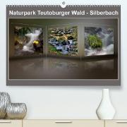 Naturpark Teutoburger Wald - Silberbach (Premium, hochwertiger DIN A2 Wandkalender 2022, Kunstdruck in Hochglanz)