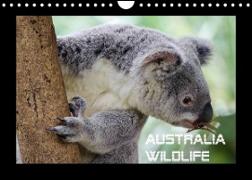 Australia Wildlife (Wandkalender 2022 DIN A4 quer)