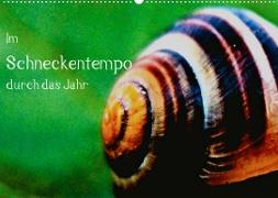 Im Schneckentempo durch das Jahr (Wandkalender 2022 DIN A2 quer)