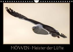 Möwen - Meister der Lüfte (Wandkalender 2022 DIN A4 quer)