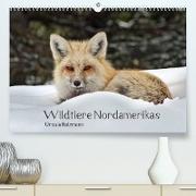 Wildtiere Nordamerikas (Premium, hochwertiger DIN A2 Wandkalender 2022, Kunstdruck in Hochglanz)