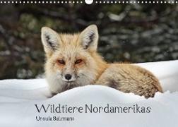 Wildtiere Nordamerikas (Wandkalender 2022 DIN A3 quer)
