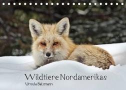 Wildtiere Nordamerikas (Tischkalender 2022 DIN A5 quer)
