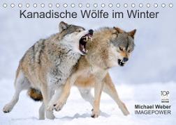 Kanadische Wölfe im Winter (Tischkalender 2022 DIN A5 quer)