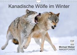 Kanadische Wölfe im Winter (Wandkalender 2022 DIN A4 quer)